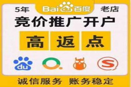 百度推广实战：助力企业快速占领市场份额